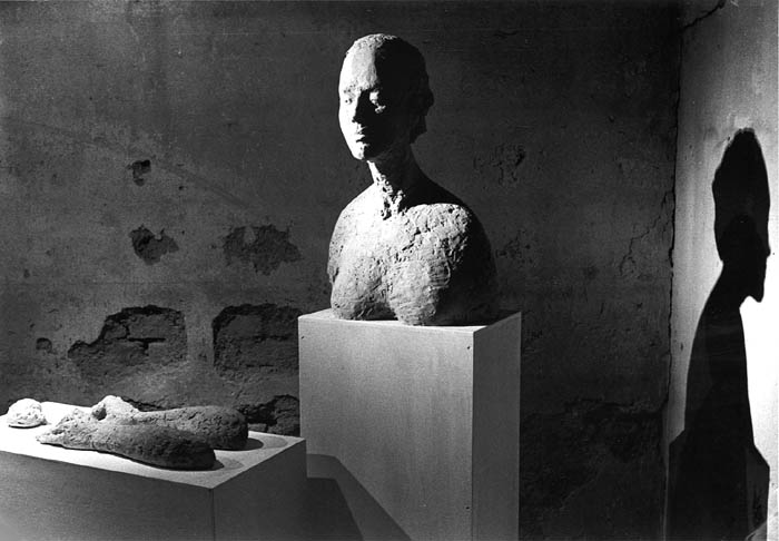 Porträt an einem nebligen Novembermorgen